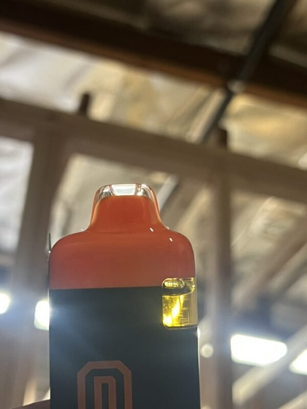 Buy Replica Raw Garden