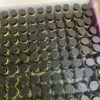 Buy Authentic Cali Plug 1g Prerolls