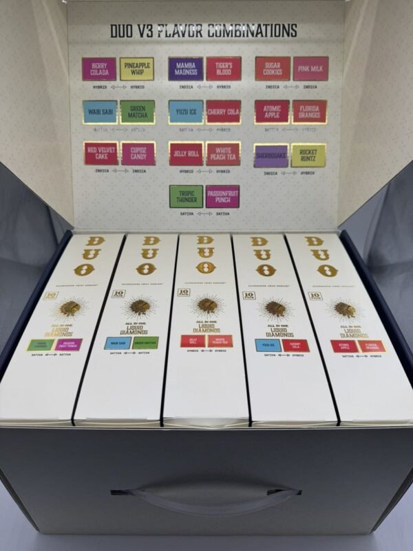 Buy Big Chief Duo V3 Disposable